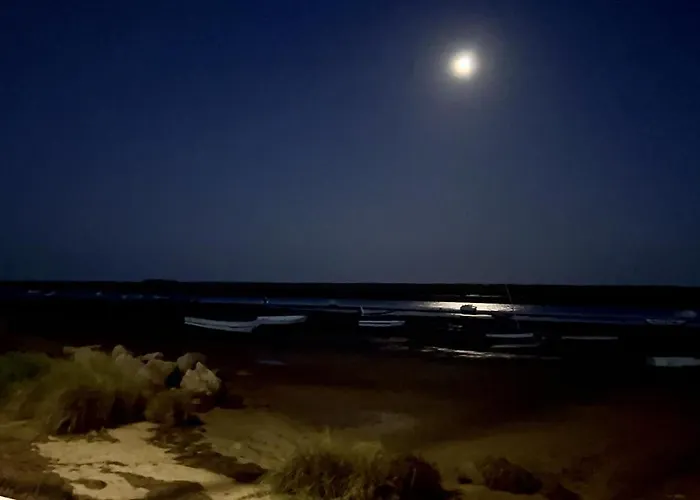 Formosa 3 With Pool By Homing Daire *